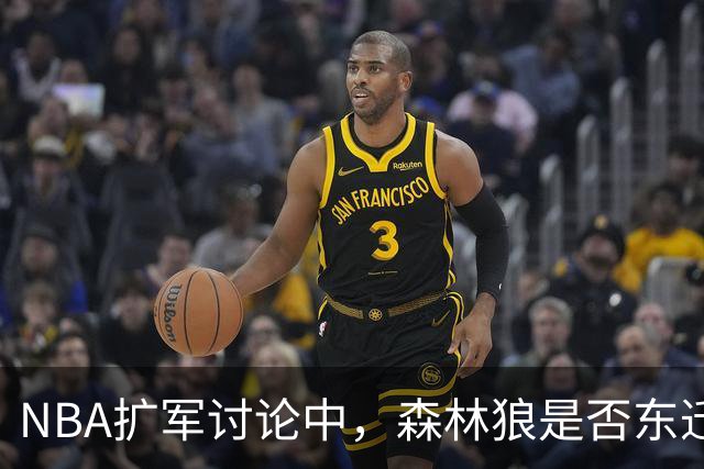 NBA扩军讨论中，森林狼是否东迁尚无定论
